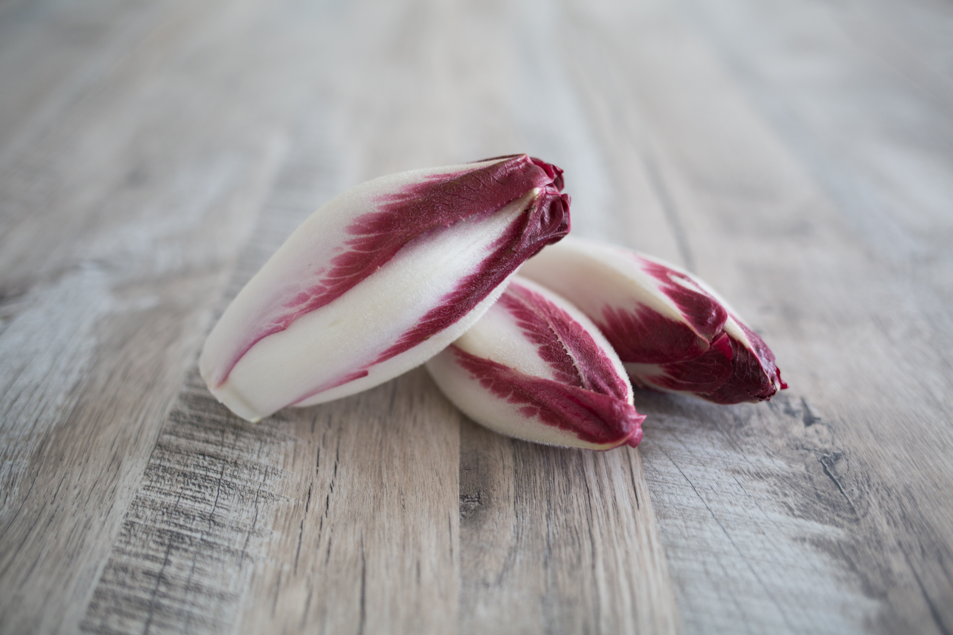 Red endive